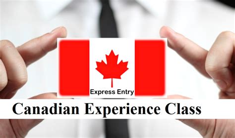 cec la canada|cec draw canada.